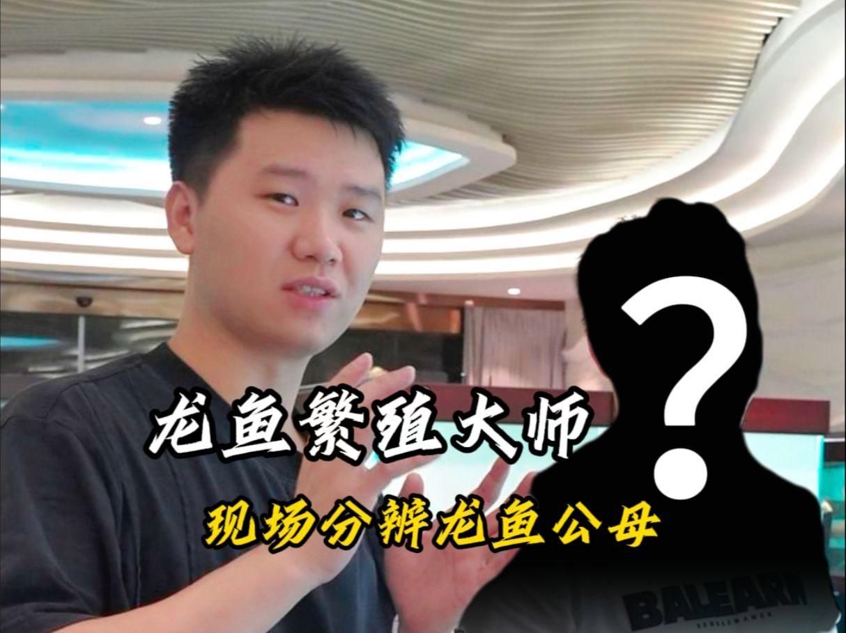 祥龍魚場有分公母的視頻教程嗎？，祥龍魚場有分公母的視頻教程嗎祥龍魚場有分公母的視頻教程