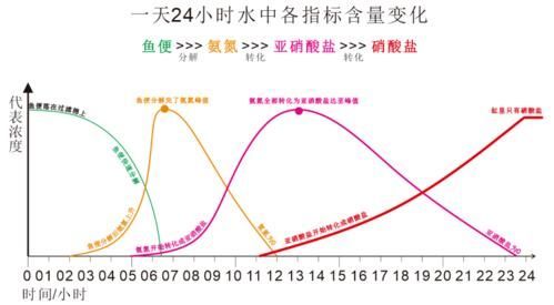 魚缸擺放多久見效?,魚缸“見效”的核心機制 龍魚百科 第2張 魚缸擺放多久見效?,魚缸“見效”的核心機制 魚缸擺放多久見效?,魚缸“見效”的核心機制 龍魚百科 第2張