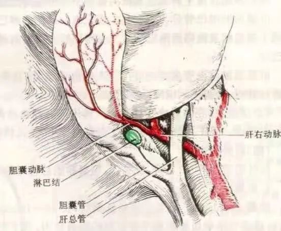 能否提供更詳細(xì)的手術(shù)治療步驟，腹腔鏡闌尾炎手術(shù)詳細(xì)流程