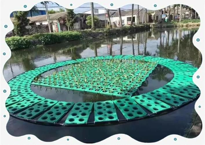 如何種植和養(yǎng)護(hù)這些水草，北京地區(qū)家庭水族養(yǎng)護(hù)水草種植與養(yǎng)護(hù)的核心技術(shù)要求