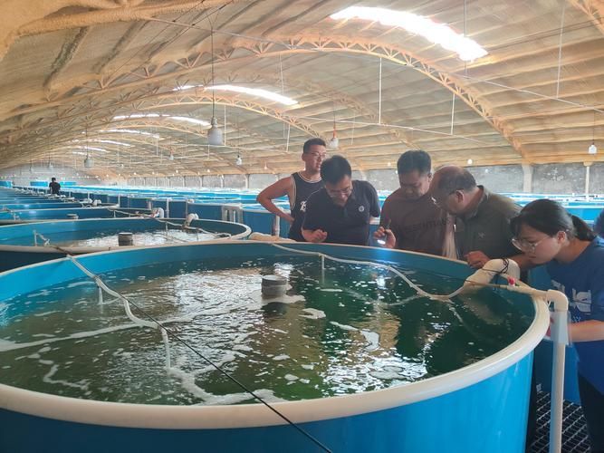 祥龍魚場的人工繁殖技術有哪些挑戰，祥龍魚場人工繁殖技術與人工繁殖技術挑戰思考完成