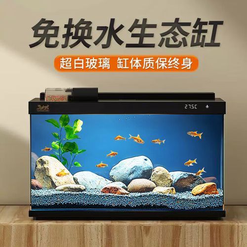 森森有哪些型號推薦？，森森森金麟魚缸型號推薦，適合養魚新手養魚新手養魚