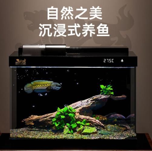 森森有哪些型號推薦？，森森森金麟魚缸型號推薦，適合養魚新手養魚新手養魚