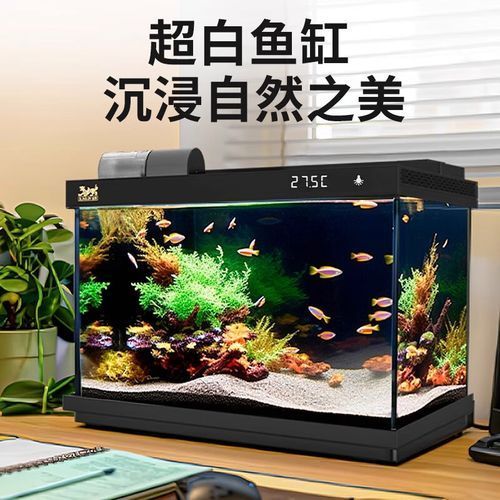 森森有哪些型號推薦？，森森森金麟魚缸型號推薦，適合養魚新手養魚新手養魚
