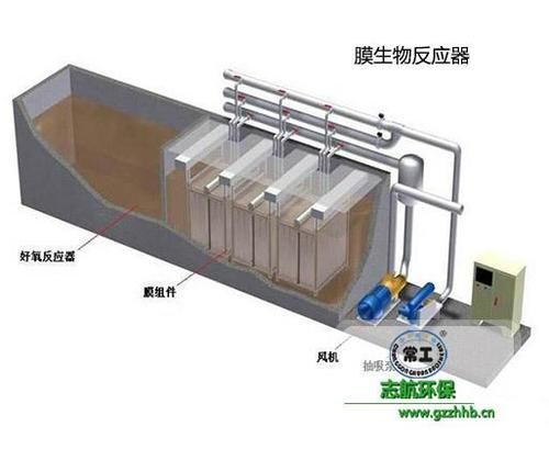 有哪些方法可以加速硝化菌培養，加速硝化菌培養