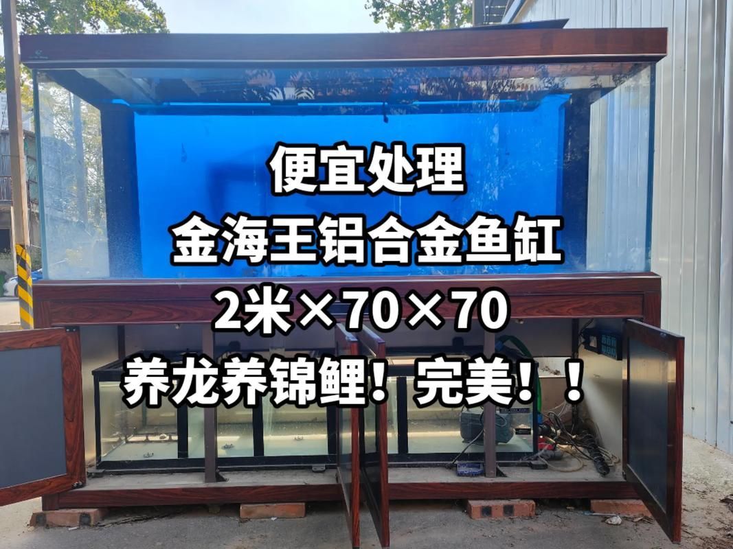 2米龍魚缸有哪些常見型號？，2米龍魚缸有哪些品牌？