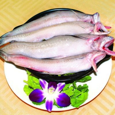 無骨龍魚有哪些營養(yǎng)價值？，無骨龍魚是一種營養(yǎng)豐富的營養(yǎng)價值，無骨龍魚的營養(yǎng)價值