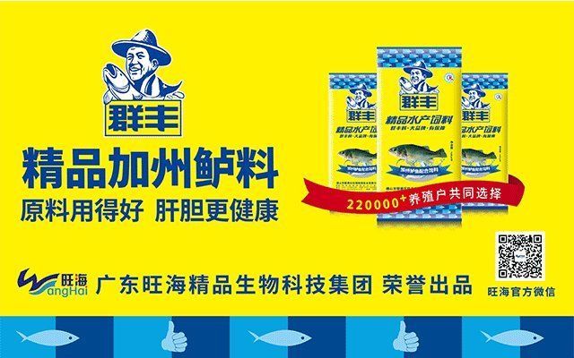 如何判斷魚腸炎的類型，如何判斷魚類腸炎 如何判斷魚腸炎的類型，如何判斷魚類腸炎 龍魚百科 第8張