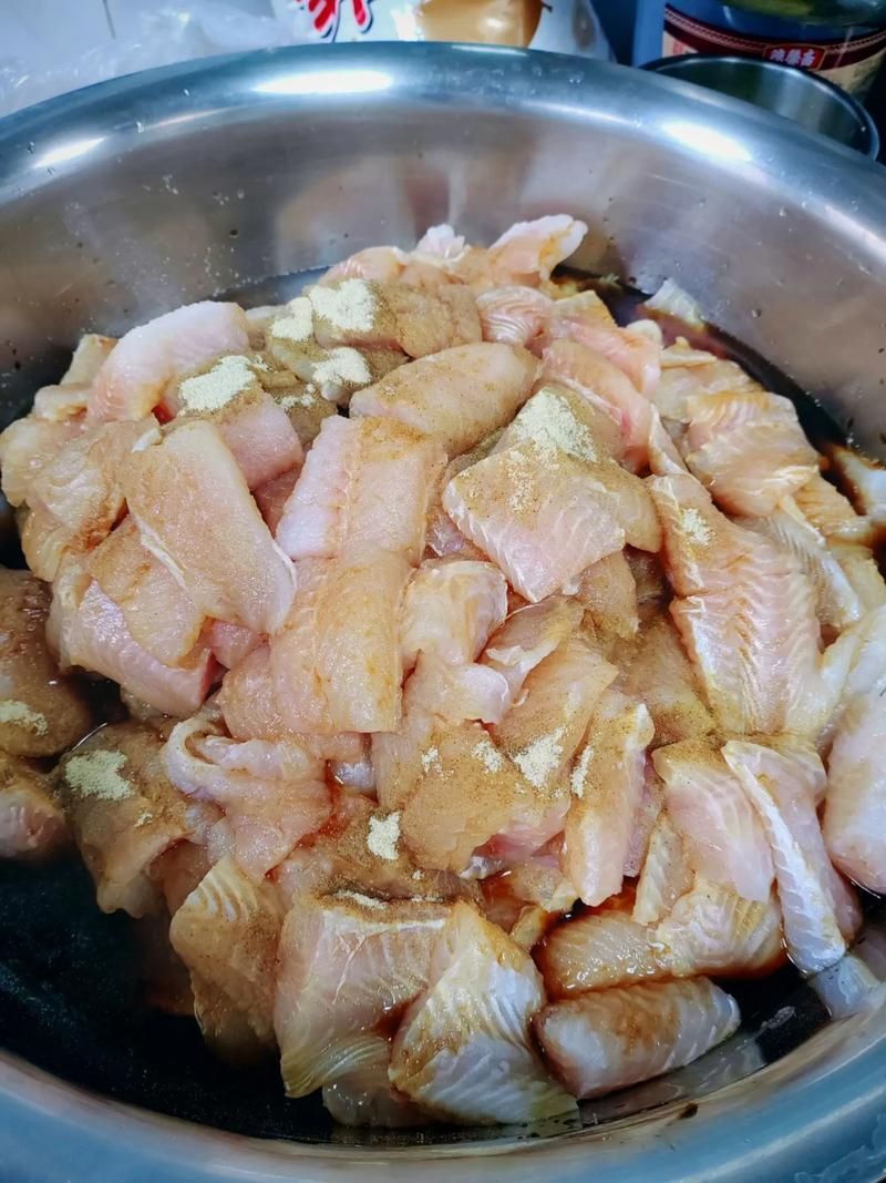 哪些魚食適合嘴歪龍魚？