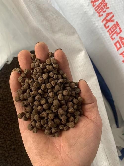 如何判斷觀賞魚飼料的質量,如何判斷觀賞魚飼料的質量, 龍魚百科 第4張 如何判斷觀賞魚飼料的質量,如何判斷觀賞魚飼料的質量, 如何判斷觀賞魚飼料的質量,如何判斷觀賞魚飼料的質量, 龍魚百科 第4張