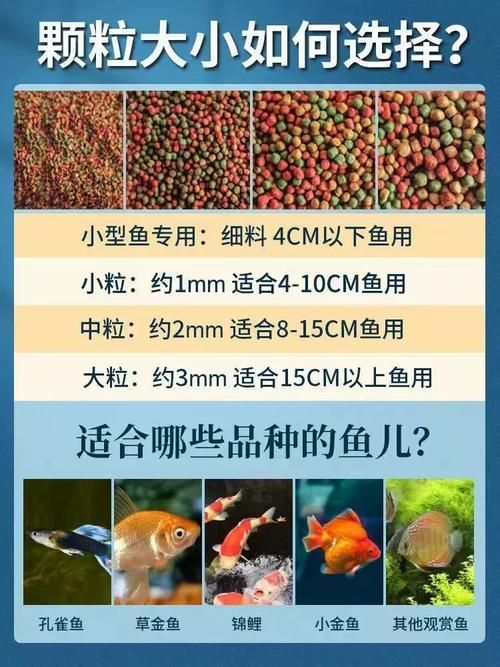 如何判斷觀賞魚飼料的質量,如何判斷觀賞魚飼料的質量, 龍魚百科 第11張 如何判斷觀賞魚飼料的質量,如何判斷觀賞魚飼料的質量, 如何判斷觀賞魚飼料的質量,如何判斷觀賞魚飼料的質量, 龍魚百科 第11張