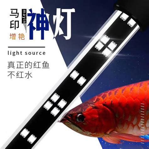 馬印神燈和仟湖龍魚燈哪個(gè)更好？，馬印神燈和仟湖龍魚燈哪個(gè)更好馬印神燈和仟湖龍魚燈哪個(gè)好