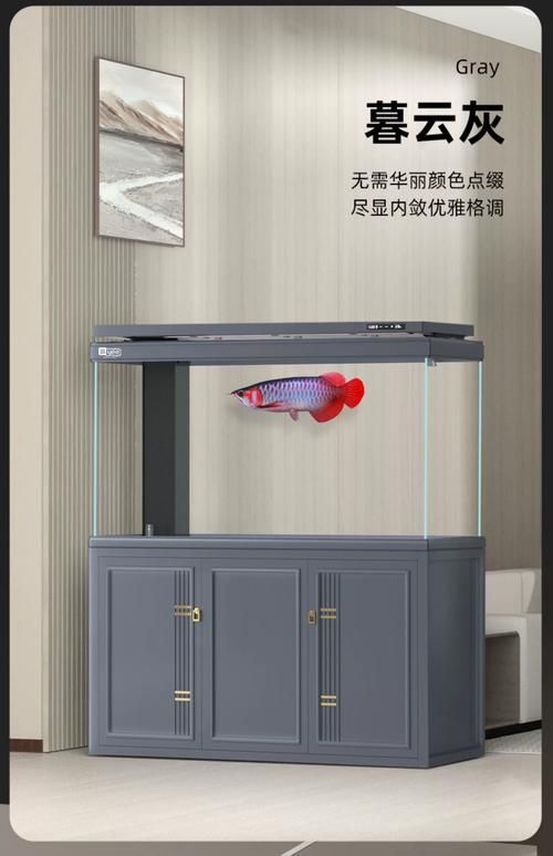 高端龍魚缸的品牌排行榜有哪些來源？，高端龍魚缸品牌排行榜公認高端龍魚缸品牌排行榜及其核心來源依據