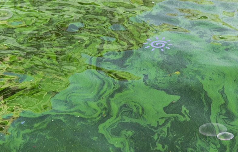 詳細閱讀:如何判斷水質是否不佳,地表水環境質量標準判斷水質不佳調用工具arxiv論文 如何判斷水質是否不佳,地表水環境質量標準判斷水質不佳調用工具arxiv論文