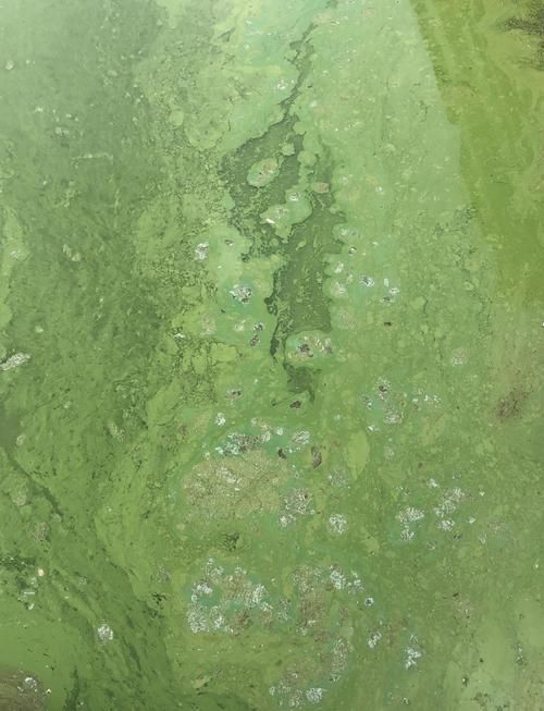 詳細閱讀:如何判斷水質是否不佳,地表水環境質量標準判斷水質不佳調用工具arxiv論文 如何判斷水質是否不佳,地表水環境質量標準判斷水質不佳調用工具arxiv論文