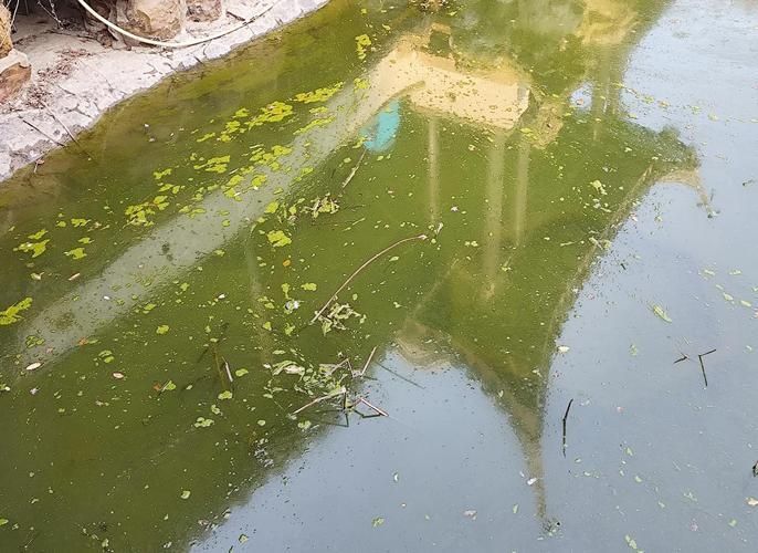 詳細閱讀:如何判斷水質是否不佳,地表水環境質量標準判斷水質不佳調用工具arxiv論文 如何判斷水質是否不佳,地表水環境質量標準判斷水質不佳調用工具arxiv論文