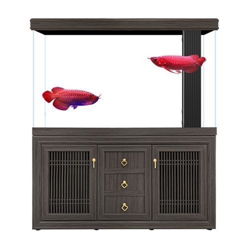 推薦幾款高端龍魚缸，高端高端龍魚缸推薦