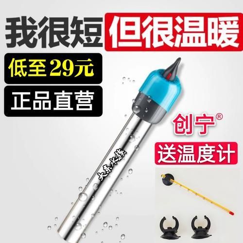 創寧水族有哪些熱門產品？，創寧水族有哪些熱門產品？創寧水族有哪些優勢？