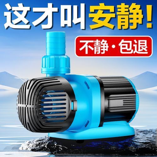 創寧水族有哪些熱門產品？，創寧水族有哪些熱門產品？創寧水族有哪些優勢？