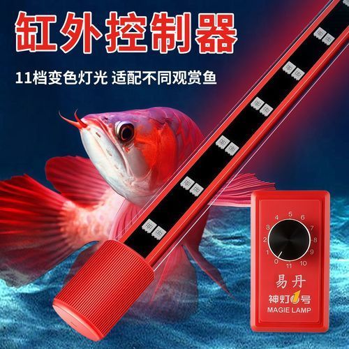紅龍養殖LED燈價格范圍，紅龍養殖led燈價格范圍