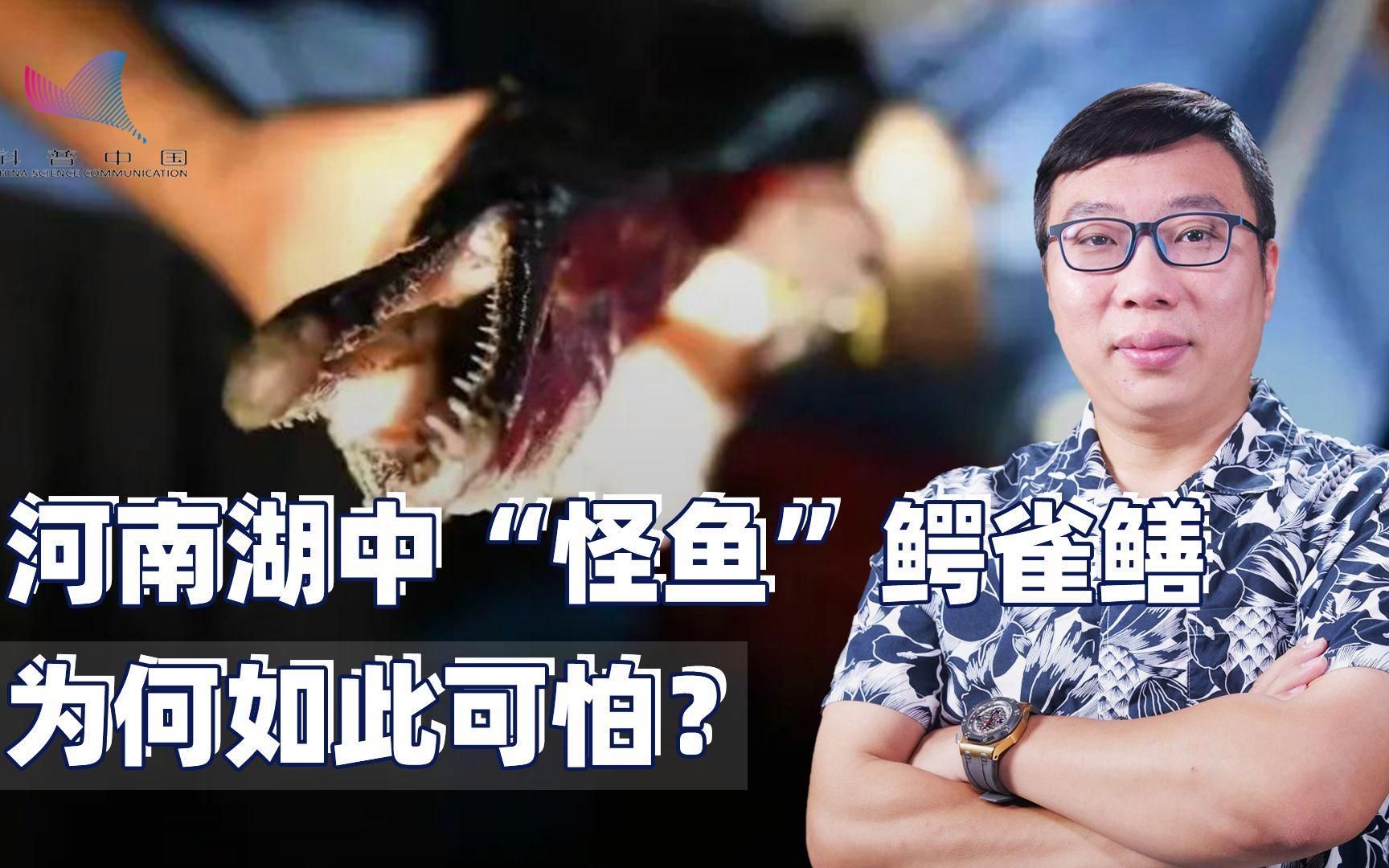 鱷雀鱔在中國有哪些天敵，中國鱷雀鱔在中國有哪些天敵？