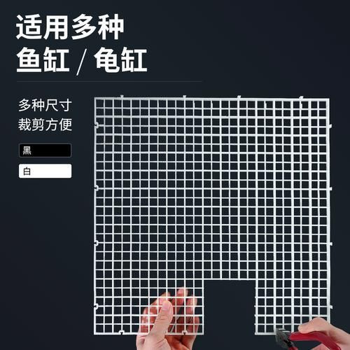 如何預防魚打架受傷 如何預防魚打架受傷 龍魚百科 第4張