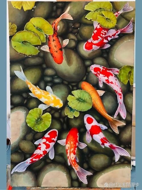 能否提供更多風水魚的圖片,【風水魚擺放與品種選擇對照表】 龍魚百科 第11張 能否提供更多風水魚的圖片,【風水魚擺放與品種選擇對照表】 能否提供更多風水魚的圖片,【風水魚擺放與品種選擇對照表】 龍魚百科 第11張
