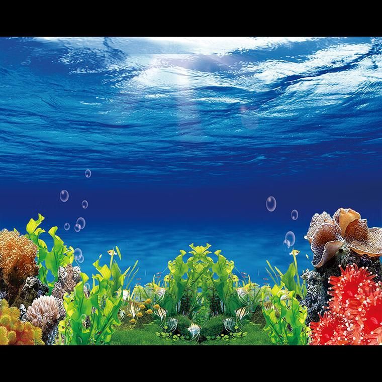 有哪些魚缸背景圖推薦？，有哪些適合小魚缸的背景圖