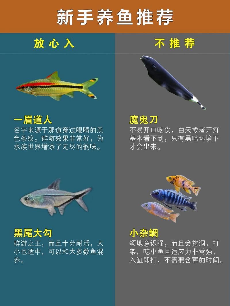 如何搜索祥龍魚合成公式的圖片？，《開心水族館》如何搜索祥龍魚合成公式的圖片？