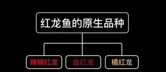 如何搜索祥龍魚合成公式的圖片？，《開心水族館》如何搜索祥龍魚合成公式的圖片？