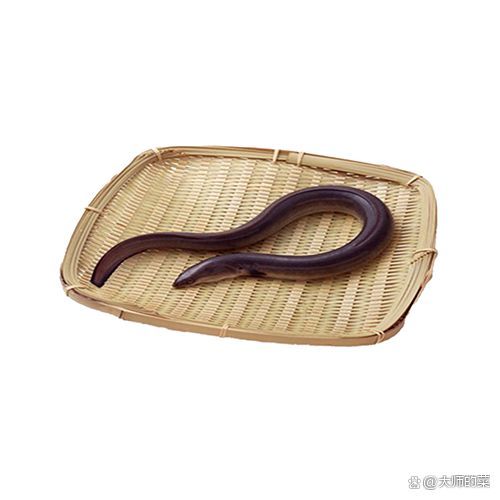 如何判斷黃鱔是否健康，如何判斷黃鱔健康