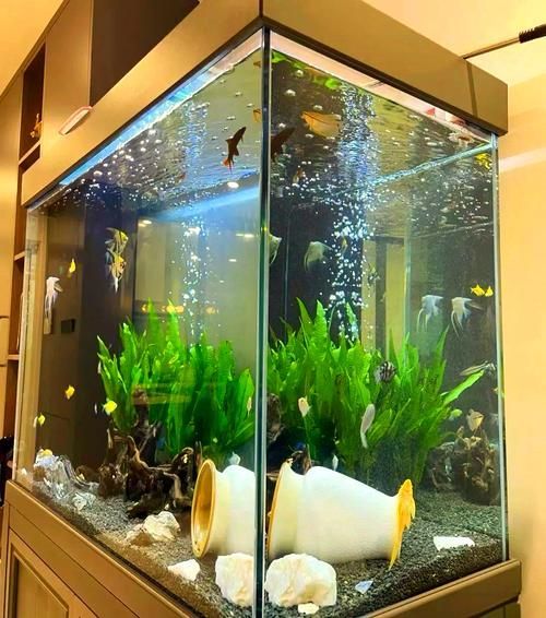 能否提供魚缸擺放的圖示示例，魚缸擺放圖示示例：客廳中心位置：將魚缸放在客廳的中央位置