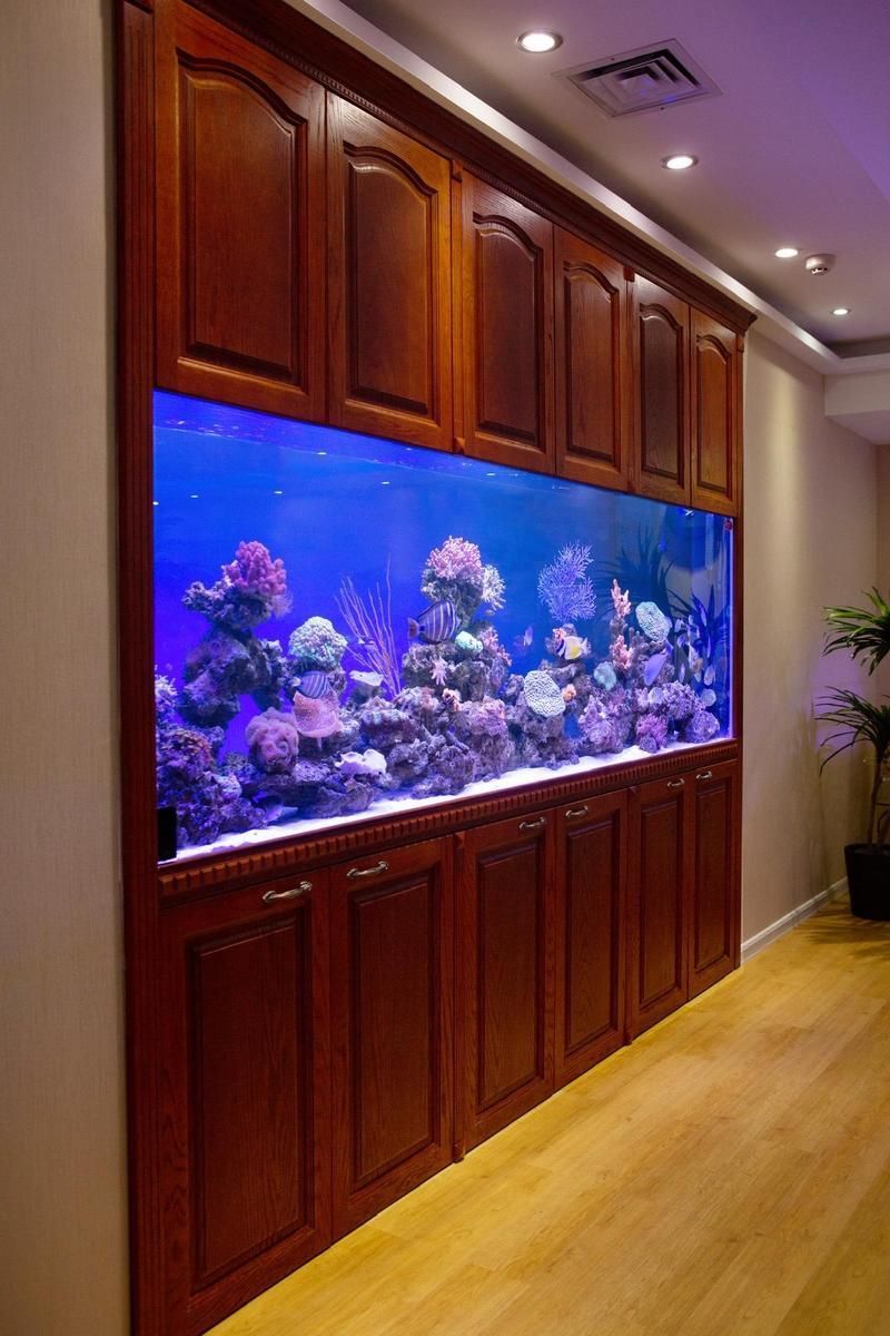 能否提供魚缸擺放的圖示示例，魚缸擺放圖示示例：客廳中心位置：將魚缸放在客廳的中央位置