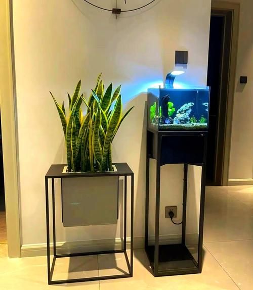 能否提供魚缸擺放的圖示示例，魚缸擺放圖示示例：客廳中心位置：將魚缸放在客廳的中央位置