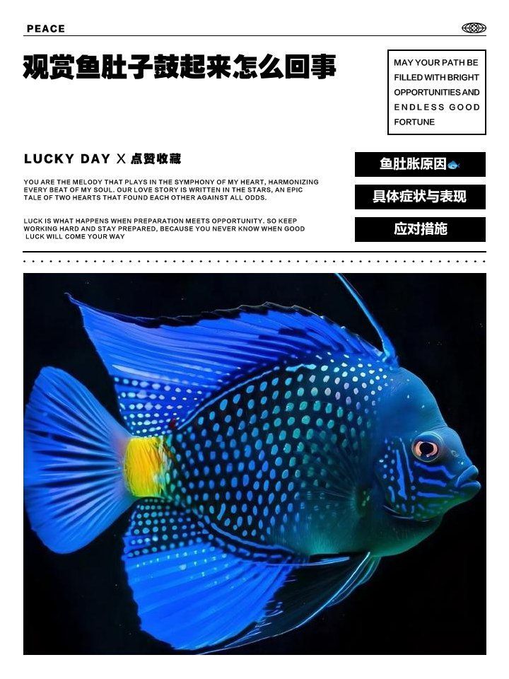 魚肚子鼓起來會自愈嗎，魚肚子鼓起來會自愈嗎三大原因揭秘魚肚子鼓起來會自愈嗎