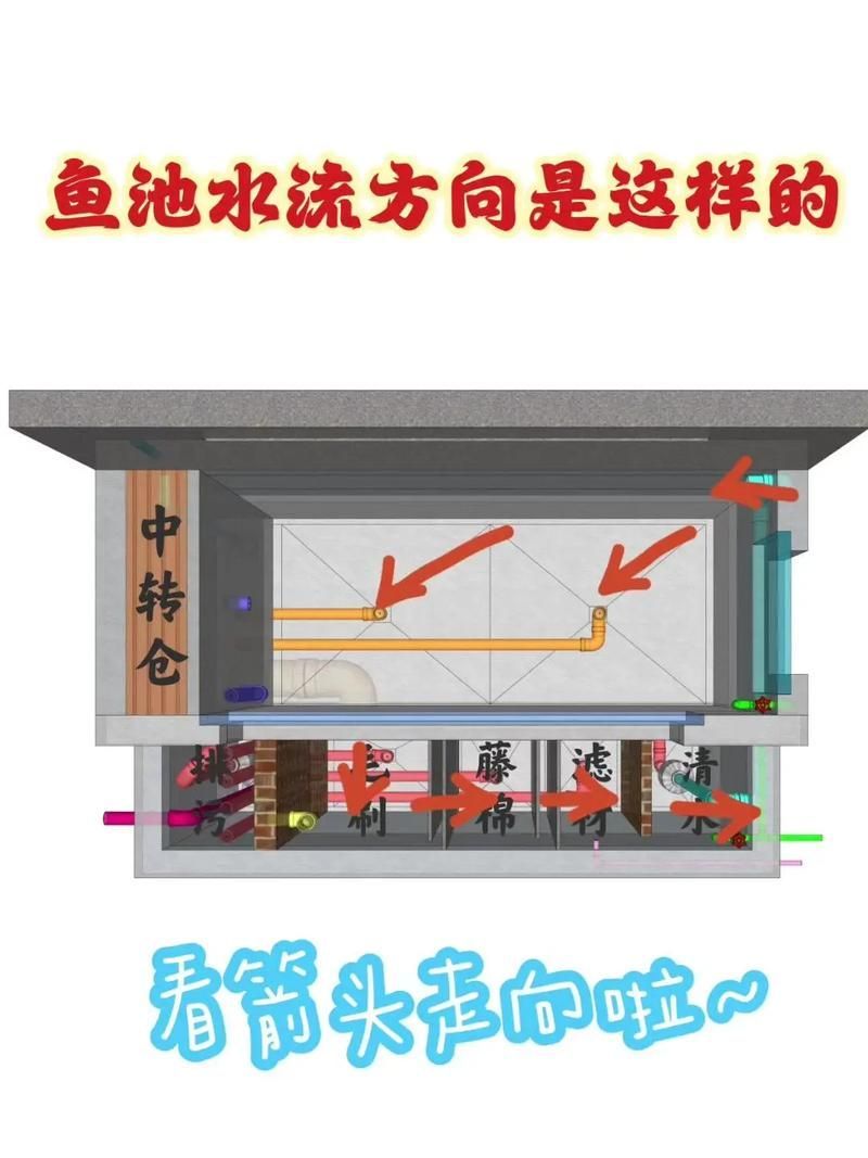 如何維持立達金龍魚的水質穩定，如何維持立達金龍魚水質穩定 如何維持立達金龍魚的水質穩定，如何維持立達金龍魚水質穩定 龍魚百科 第1張