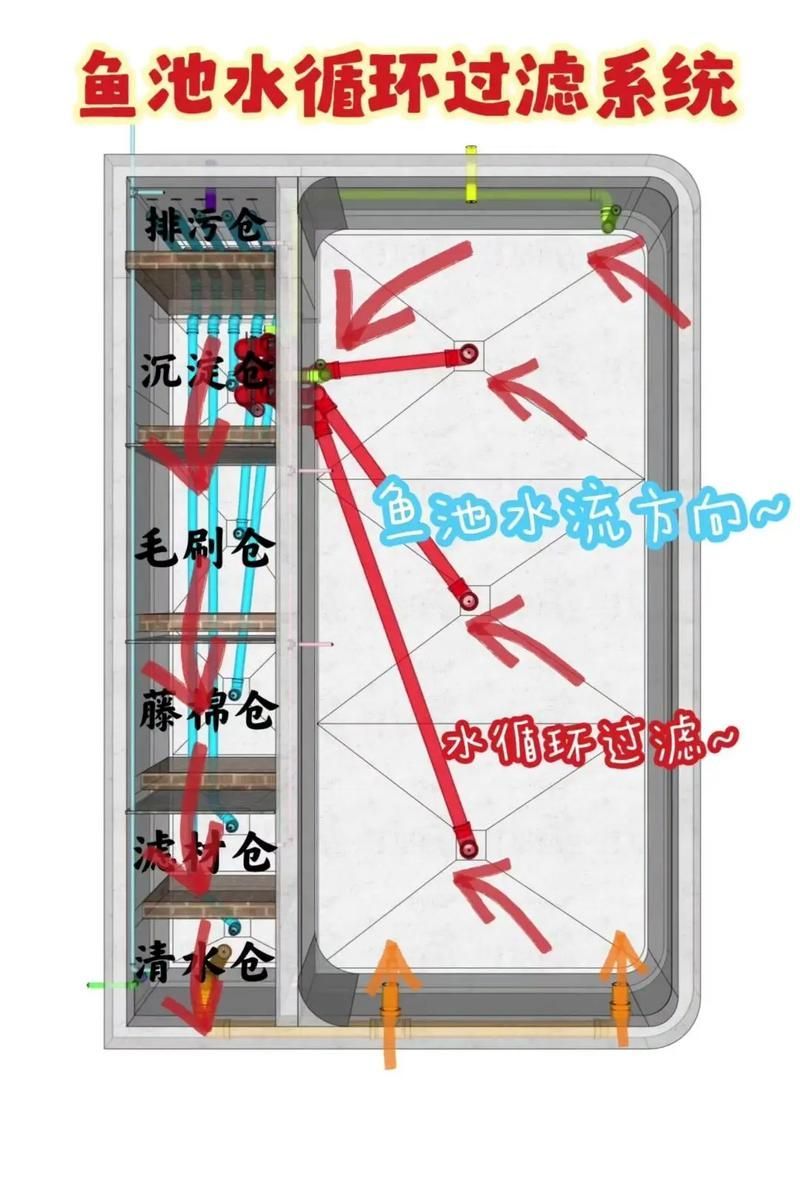 如何維持立達金龍魚的水質穩定，如何維持立達金龍魚水質穩定 如何維持立達金龍魚的水質穩定，如何維持立達金龍魚水質穩定 龍魚百科 第3張