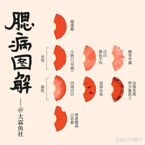 如何預防魚鰓爛洞，如何預防魚鰓爛洞（arxiv論文助手（arxiv論文助手）