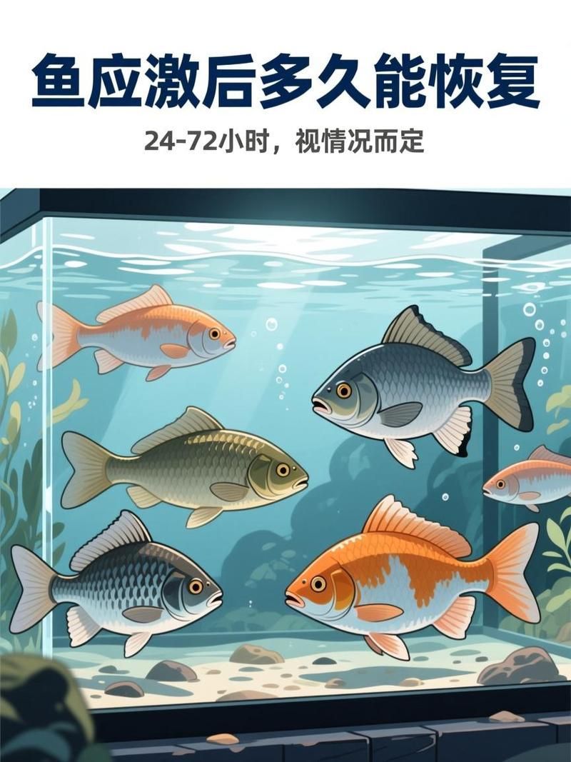 龍魚甩頭多久會好，龍魚甩頭多久會好，用戶要求詳解“龍魚甩頭多久會好”
