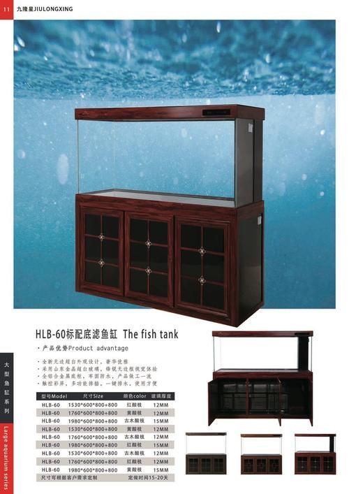 龍魚(yú)風(fēng)水缸尺寸，如何選擇適合龍魚(yú)的魚(yú)缸？