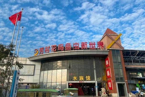 給我一份祥龍魚場的參觀指南，“祥龍魚場參觀指南”、“祥龍魚場參觀指南”的信息 給我一份祥龍魚場的參觀指南，“祥龍魚場參觀指南”、“祥龍魚場參觀指南”的信息 龍魚百科 第4張