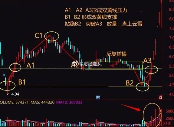 金龍魚未來價格走勢如何預測，金龍魚未來價格走勢預測 金龍魚未來價格走勢如何預測，金龍魚未來價格走勢預測 龍魚百科 第2張
