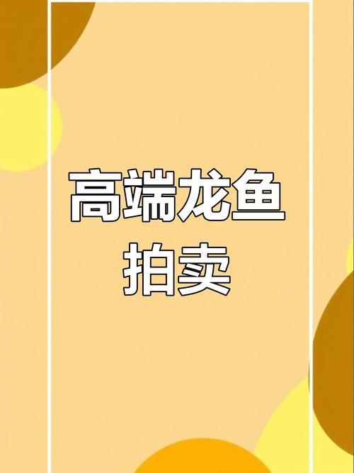 龍魚批發價格是多少，龍魚批發價格因地區、品種和品種和市場供需關系而異