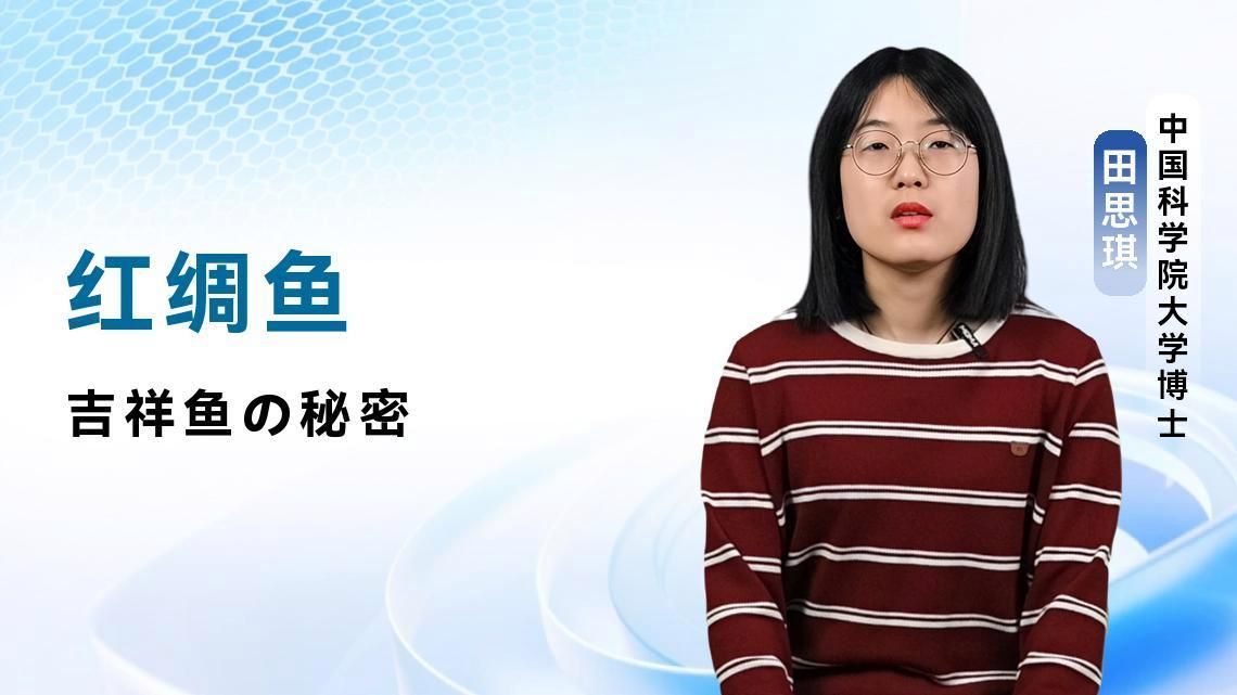 給我推薦一些吉祥魚種的飼料品牌，給我推薦一些吉祥魚種的飼料品牌,你養吉祥魚，選對飼料真的能讓魚色更艷、狀態更穩