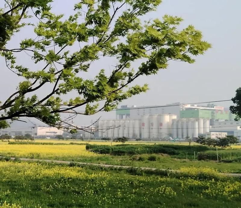 金龍魚(yú)在全國(guó)有哪些生產(chǎn)基地，金龍魚(yú)在全國(guó)有哪些主要生產(chǎn)基地