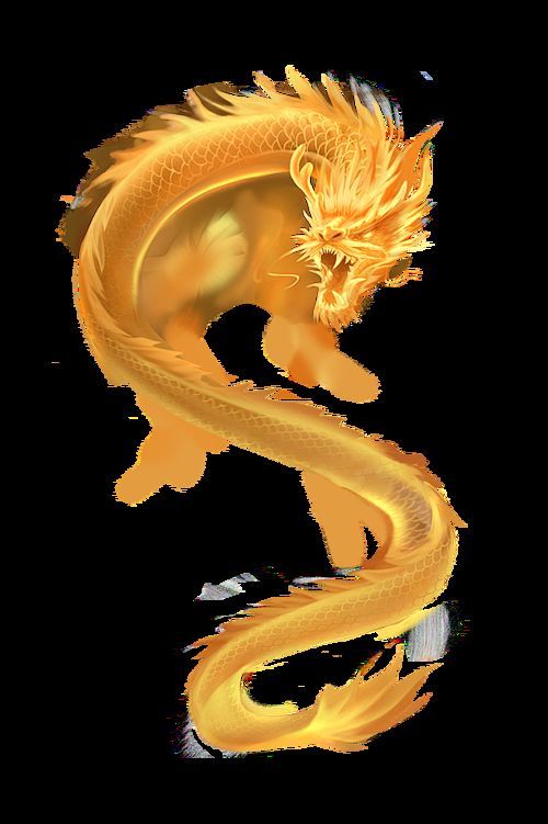 有沒有更多高清金龍圖片來源，探索高清金龍圖片的豐富資源