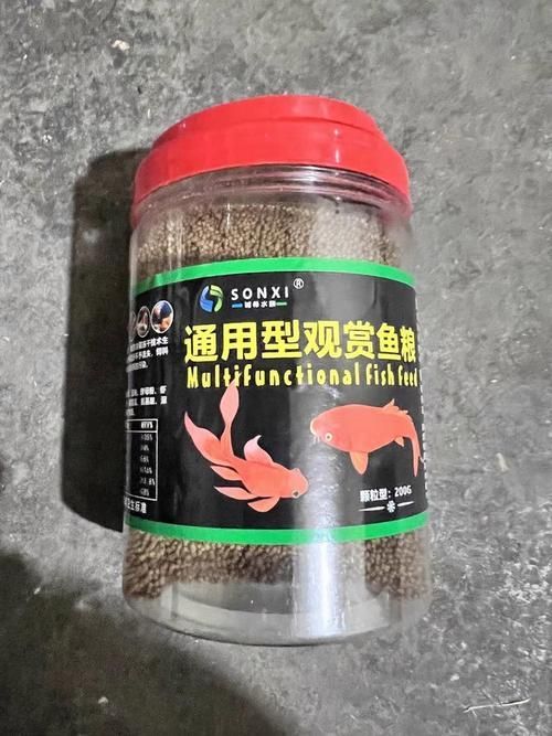 西青龍魚的養(yǎng)殖技術(shù)有哪些？，西青龍魚養(yǎng)殖技術(shù)