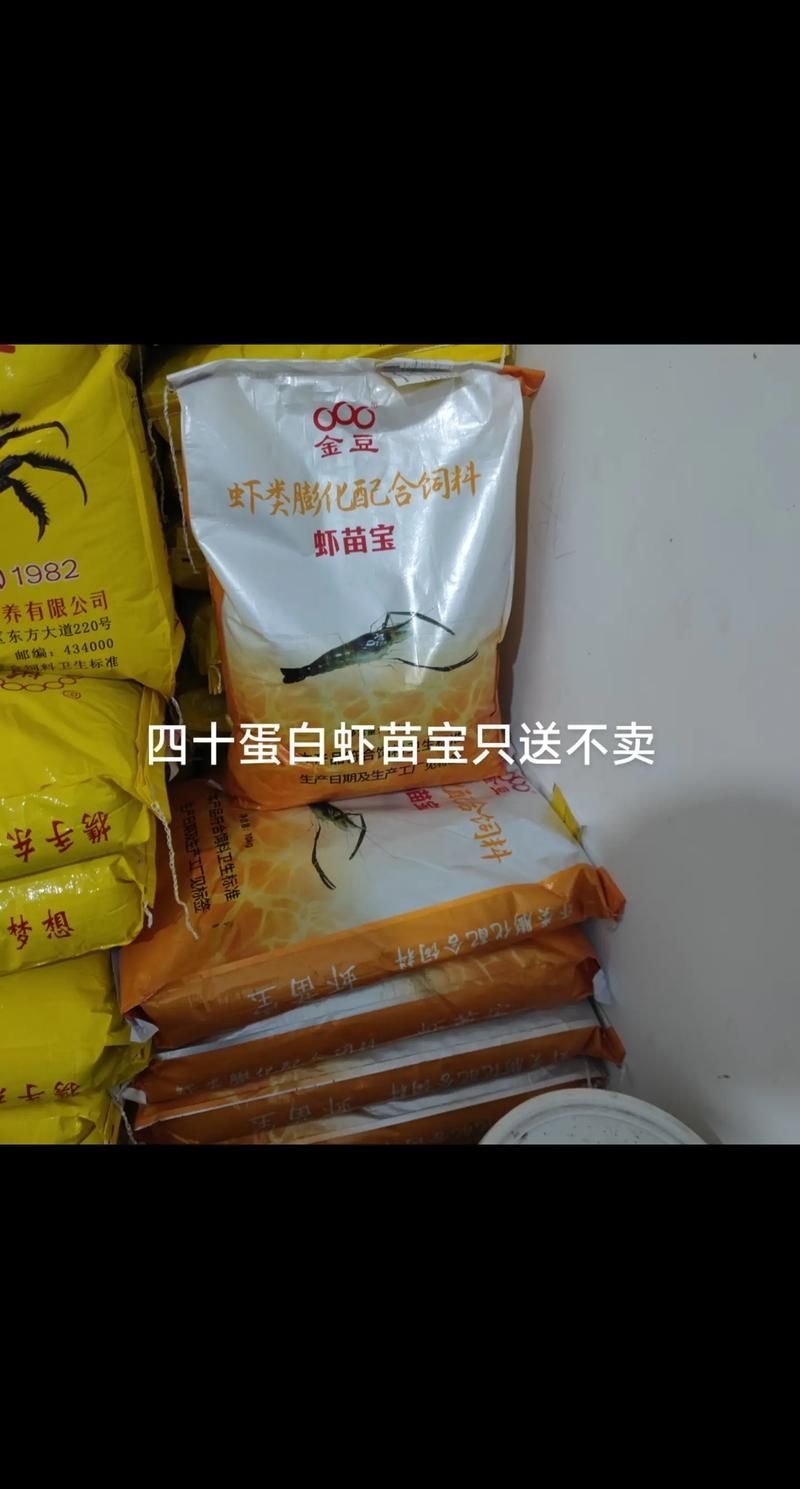 西青龍魚的養(yǎng)殖技術(shù)有哪些？，西青龍魚養(yǎng)殖技術(shù)