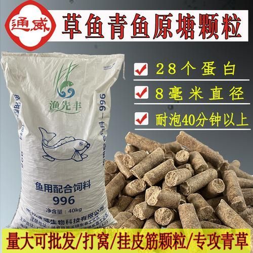 西青龍魚的養(yǎng)殖技術(shù)有哪些？，西青龍魚養(yǎng)殖技術(shù)