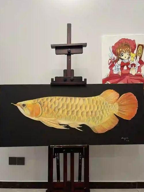 推薦一些金龍魚創意畫的參考圖片，金龍魚創意畫